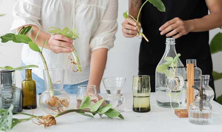 develop a custom cosmetic formulation